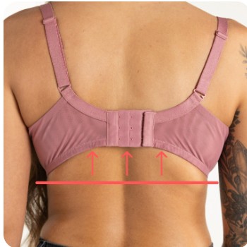 bra band fit why does my band ride up feature