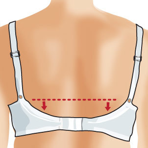 How to measure for a bra band below shoulder blades